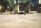 07 Madurai Inde 1983-089