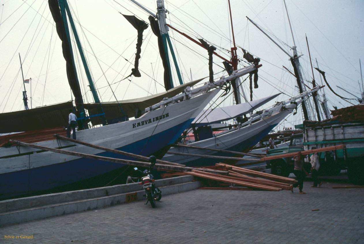 Java Bali 1989-001 Port de Jakarta  les perahu qui transportent le bois des Célèbes 