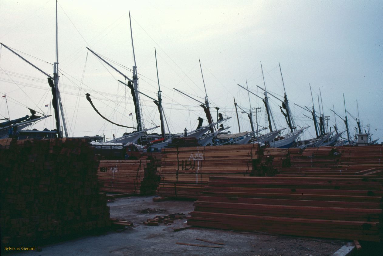 Java Bali 1989-003 Port de Jakarta  les perahu qui transportent le bois des Célèbes 