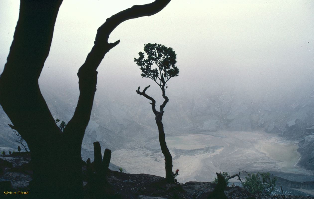 Java Bali 1989-055 Bandung à 25 km le volcan Tang Kuban Prahu 1830 m à 1er cratère 