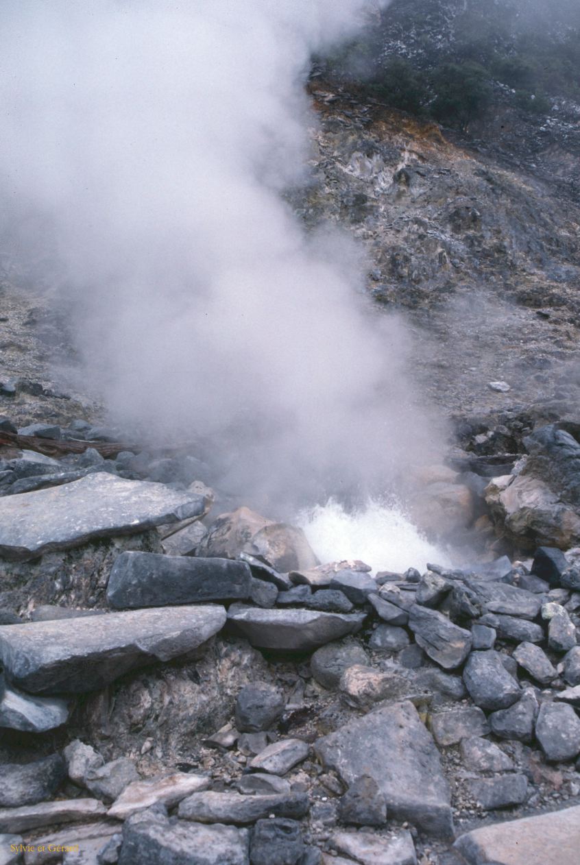 Java Bali 1989-059 Bandung à 25 km le volcan Tang Kuban Prahu 1830 m à 3e cratère 