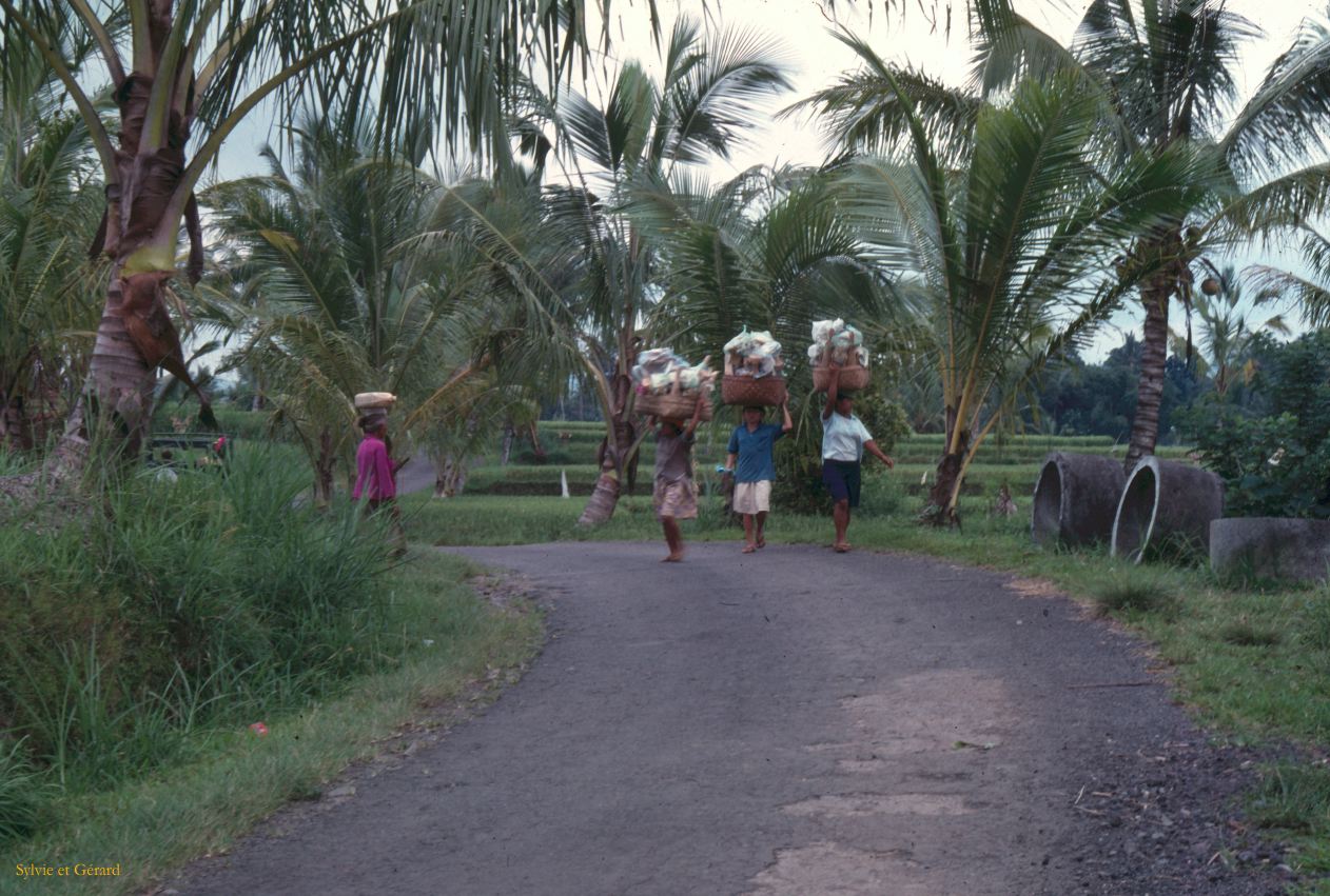 Java Bali 1989-083 le long d'un chemin 