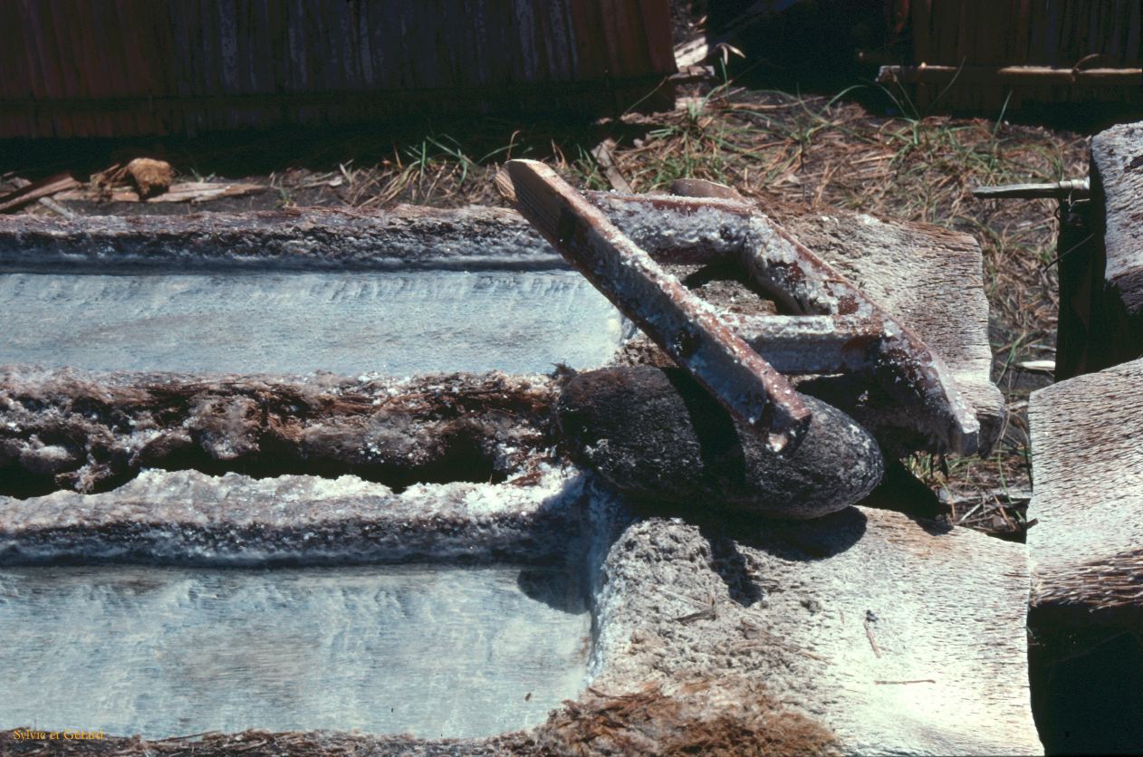Java Bali 1989-092 Bali récolte de sel le long de la plage 
