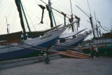 Java Bali 1989-001 Port de Jakarta  les perahu qui transportent le bois des Célèbes 