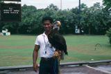 Java Bali 1989-243 Singapour aigle