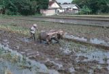 Java Bali 1989-070 labourage de la rizière 