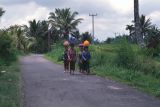 Java Bali 1989-081le long d'un chemin 