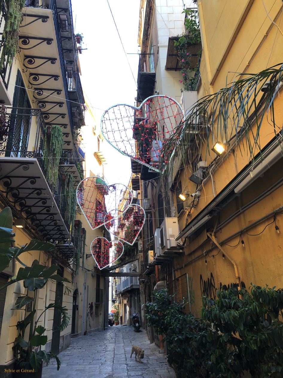 103 Palerme quartier du marché du Vucciria  IMG_2806