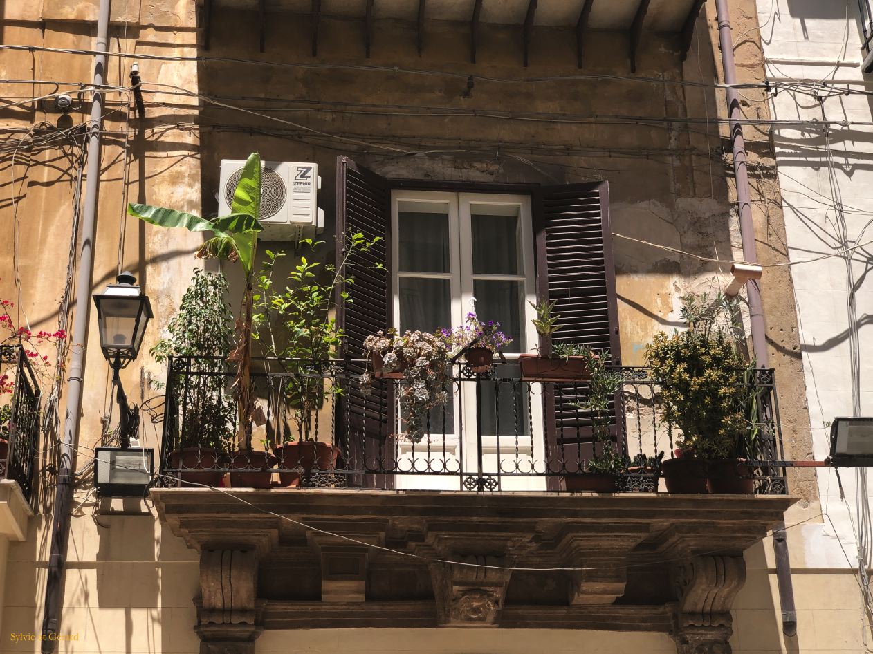 104 Palerme quartier du marché du Vucciria  IMG_2798