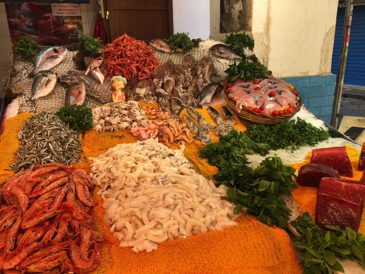 106 Palerme quartier du marché du Vucciria  IMG_2842