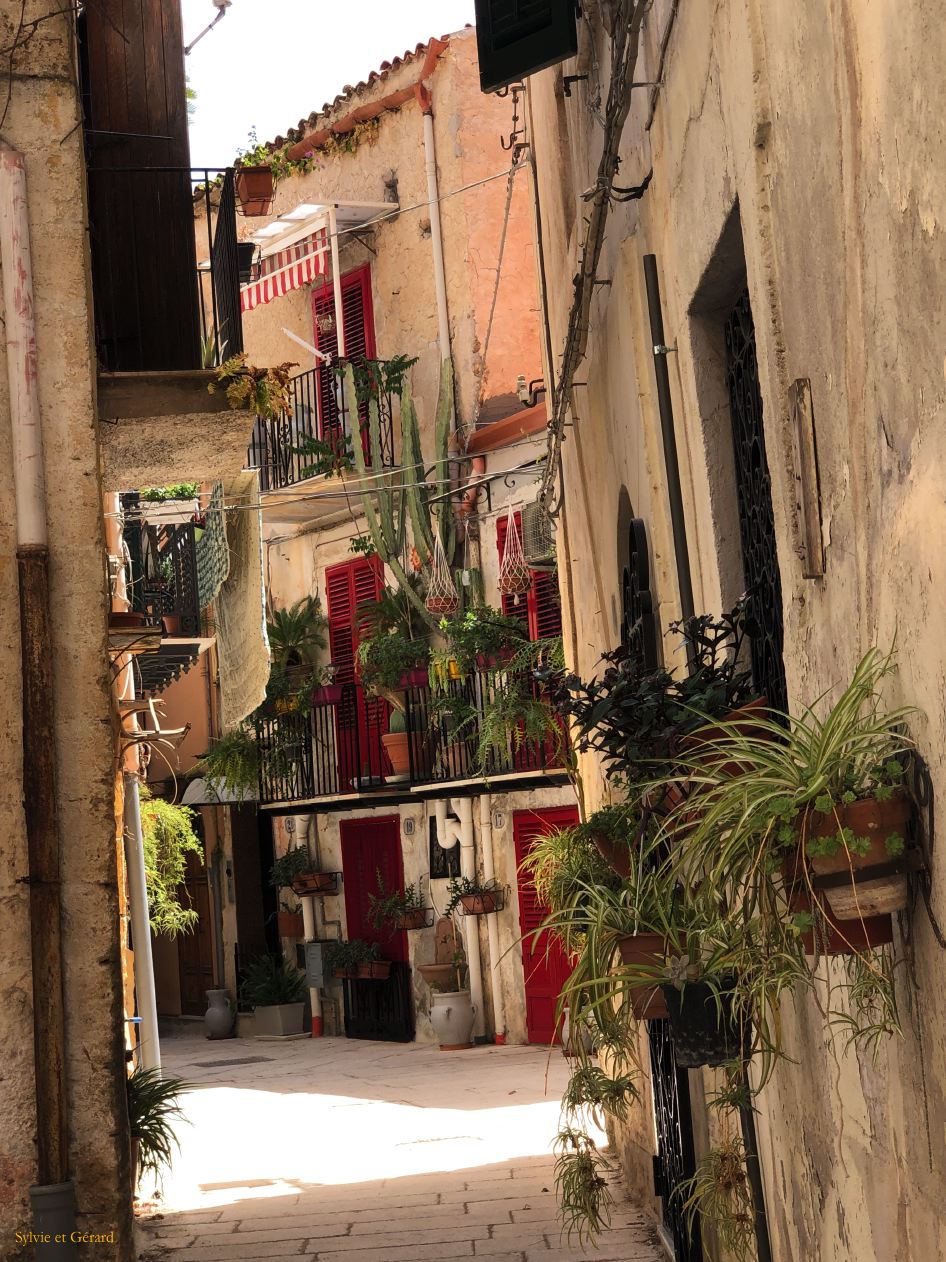 219 Montreale dans la ville IMG_2761