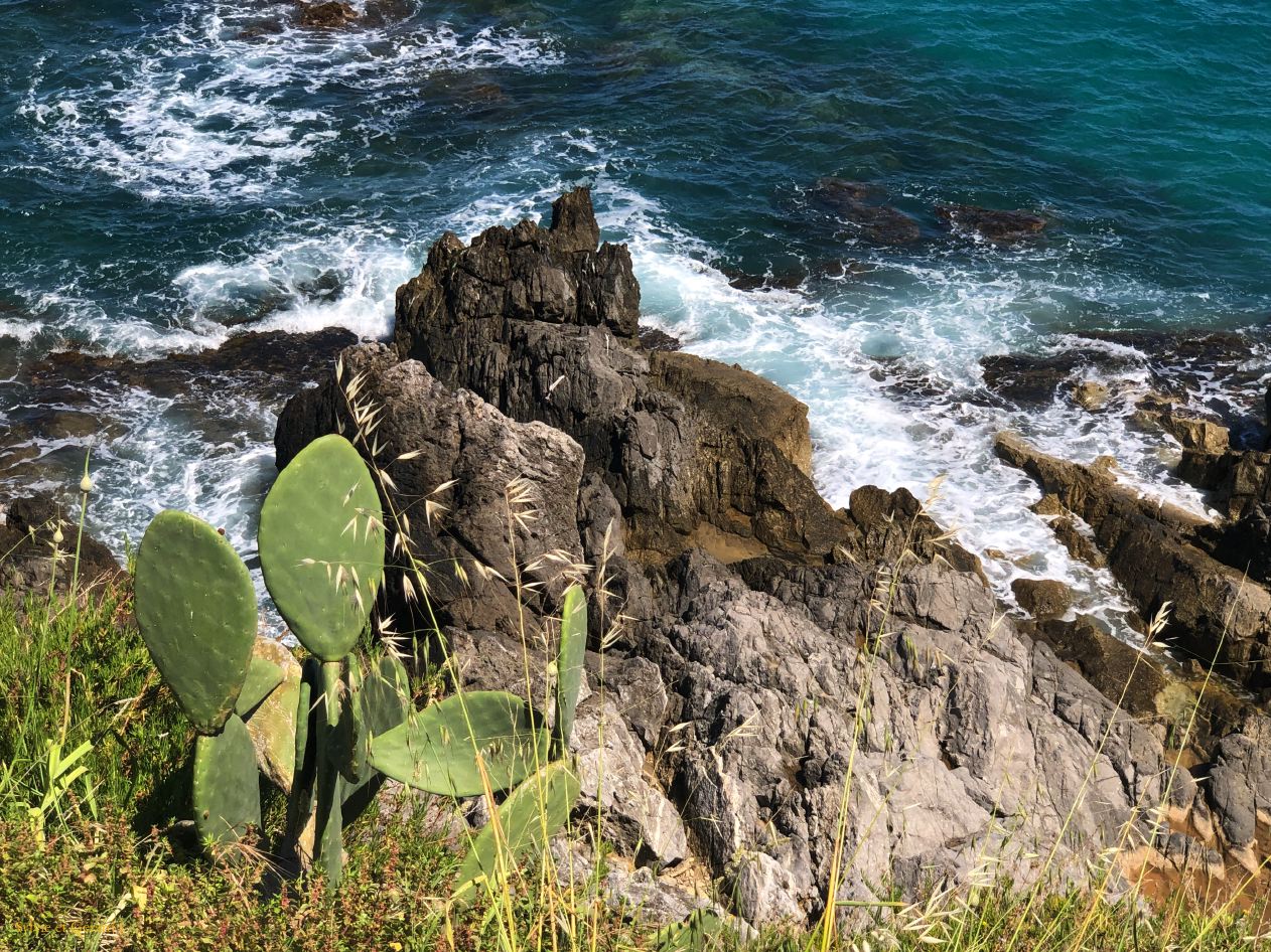 301 Cefalù le bord de mer IMG_2685