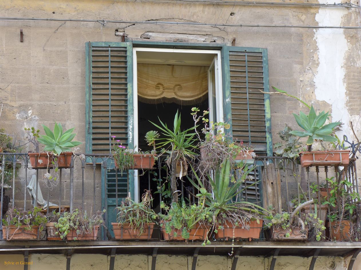 027 face à la cathédrale P1450791