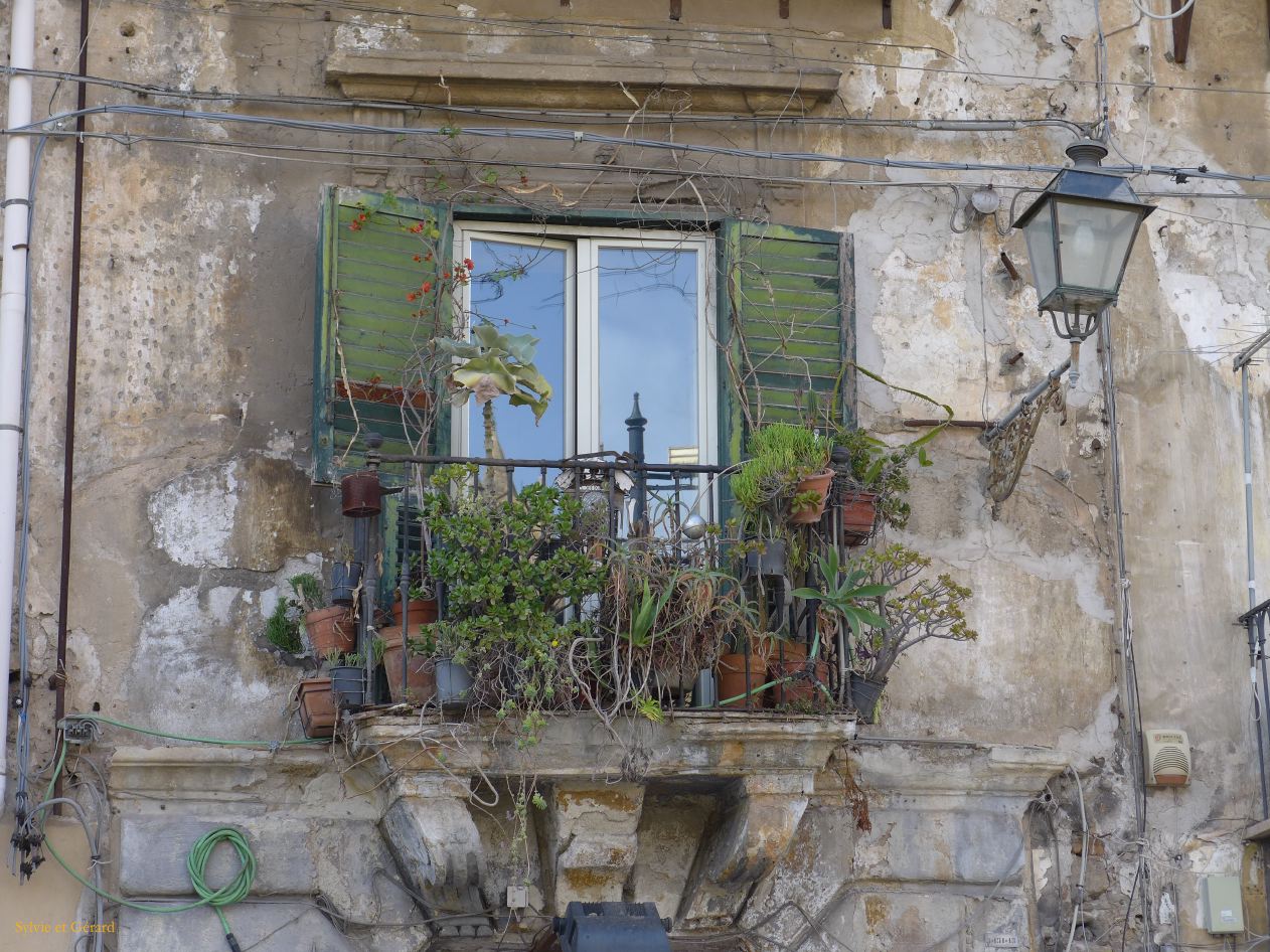 037 face à la cathédrale P1450792