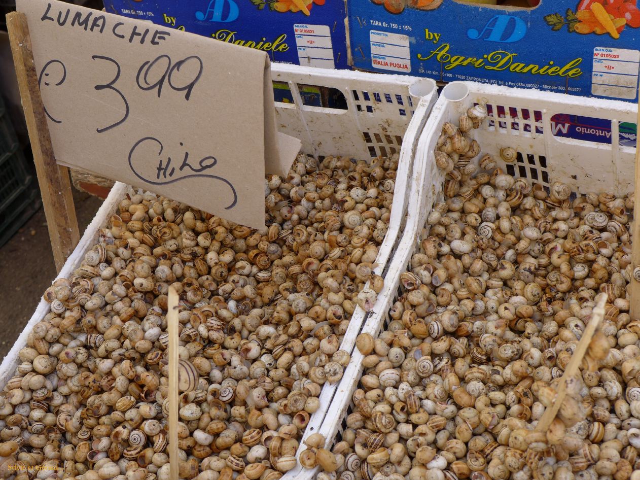 047 Palerme le quartier du marché Ballaro - le marché P1450642