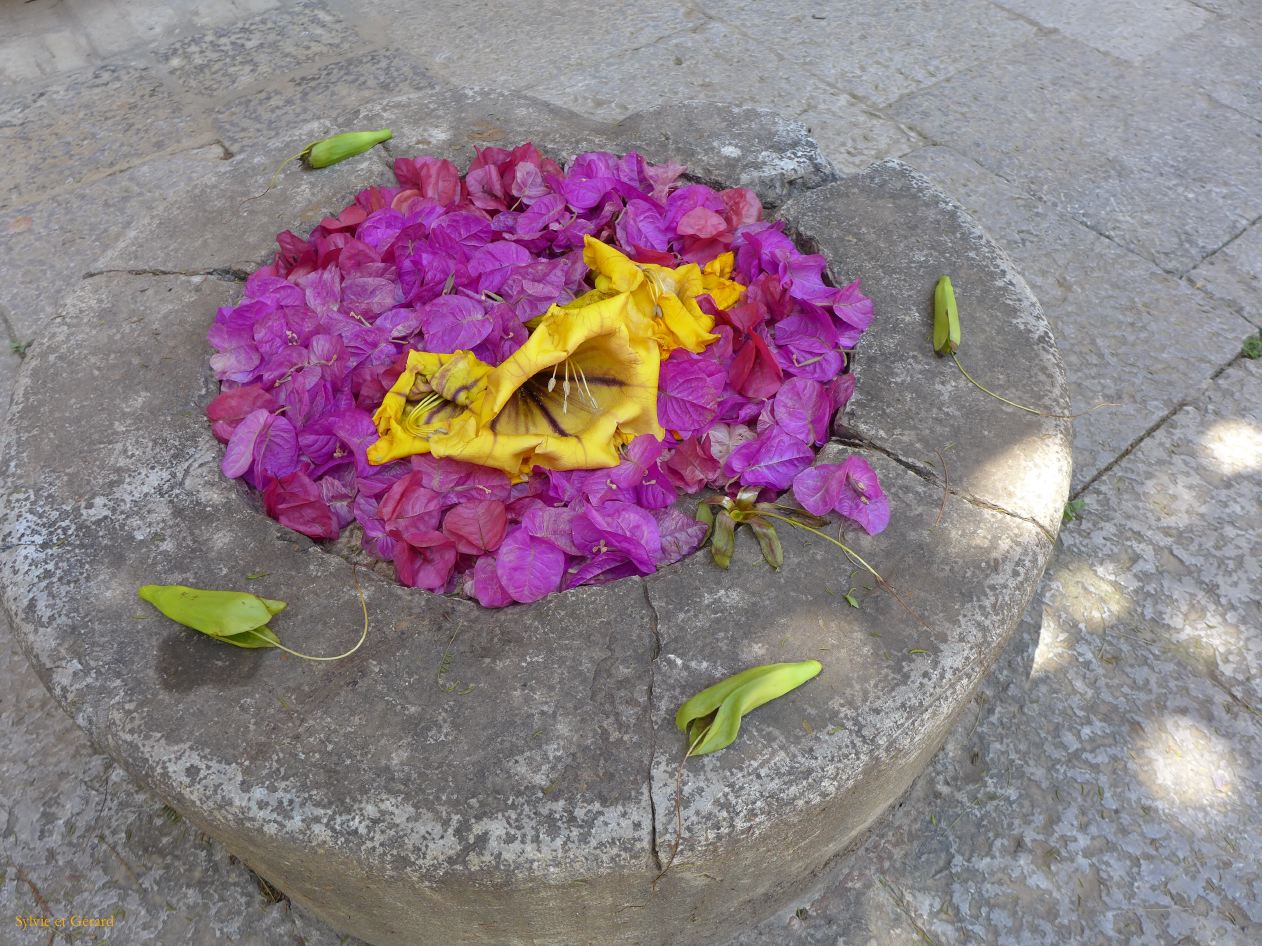 086 Palerme Palazzo Butera - cour intérieure et terrasse P1450752