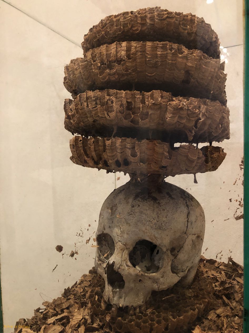 089 Palerme Palazzo Butera - intérieurs expostions  IMG_2727