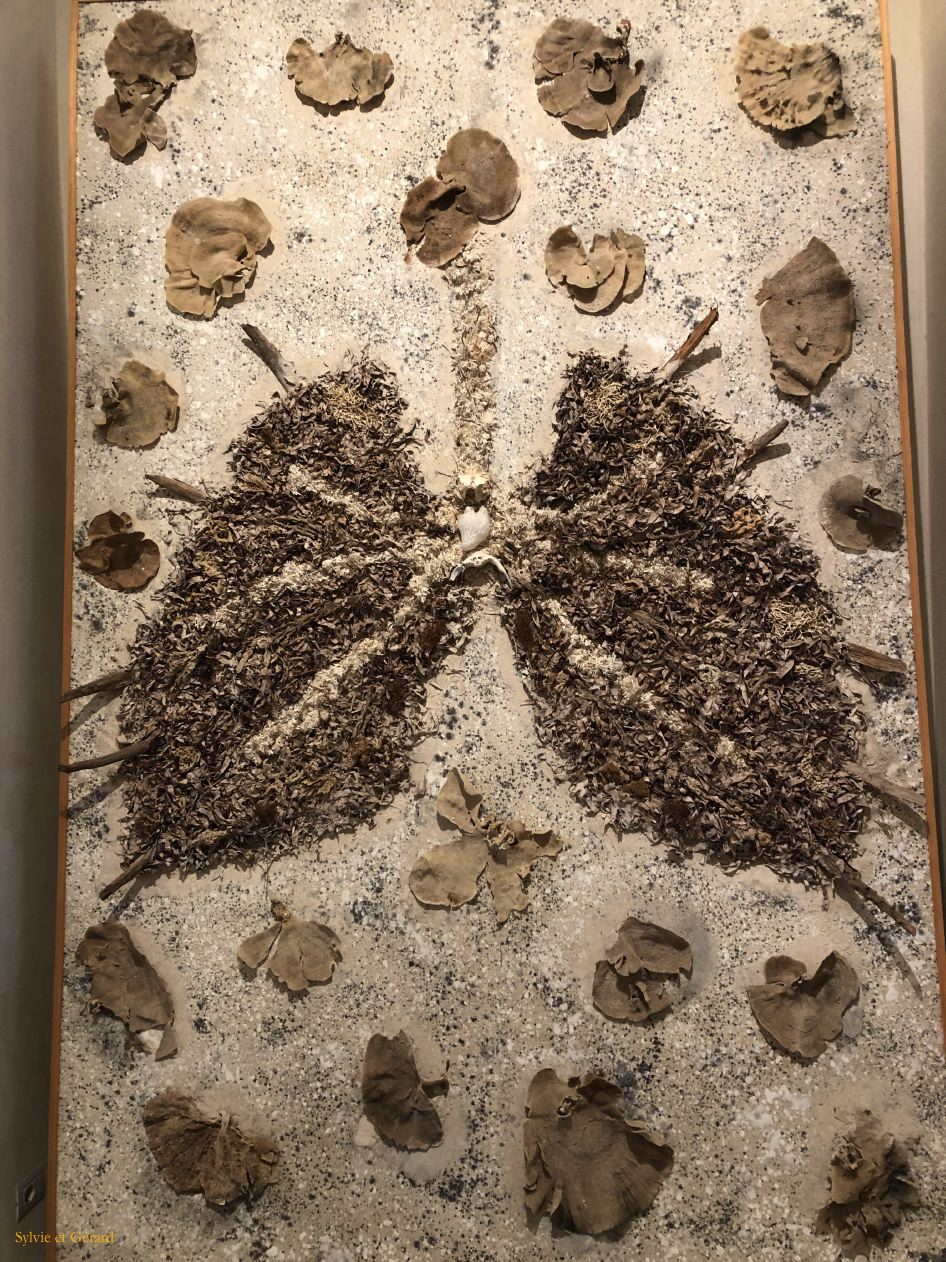 090 Palerme Palazzo Butera - intérieurs expostions  IMG_2731