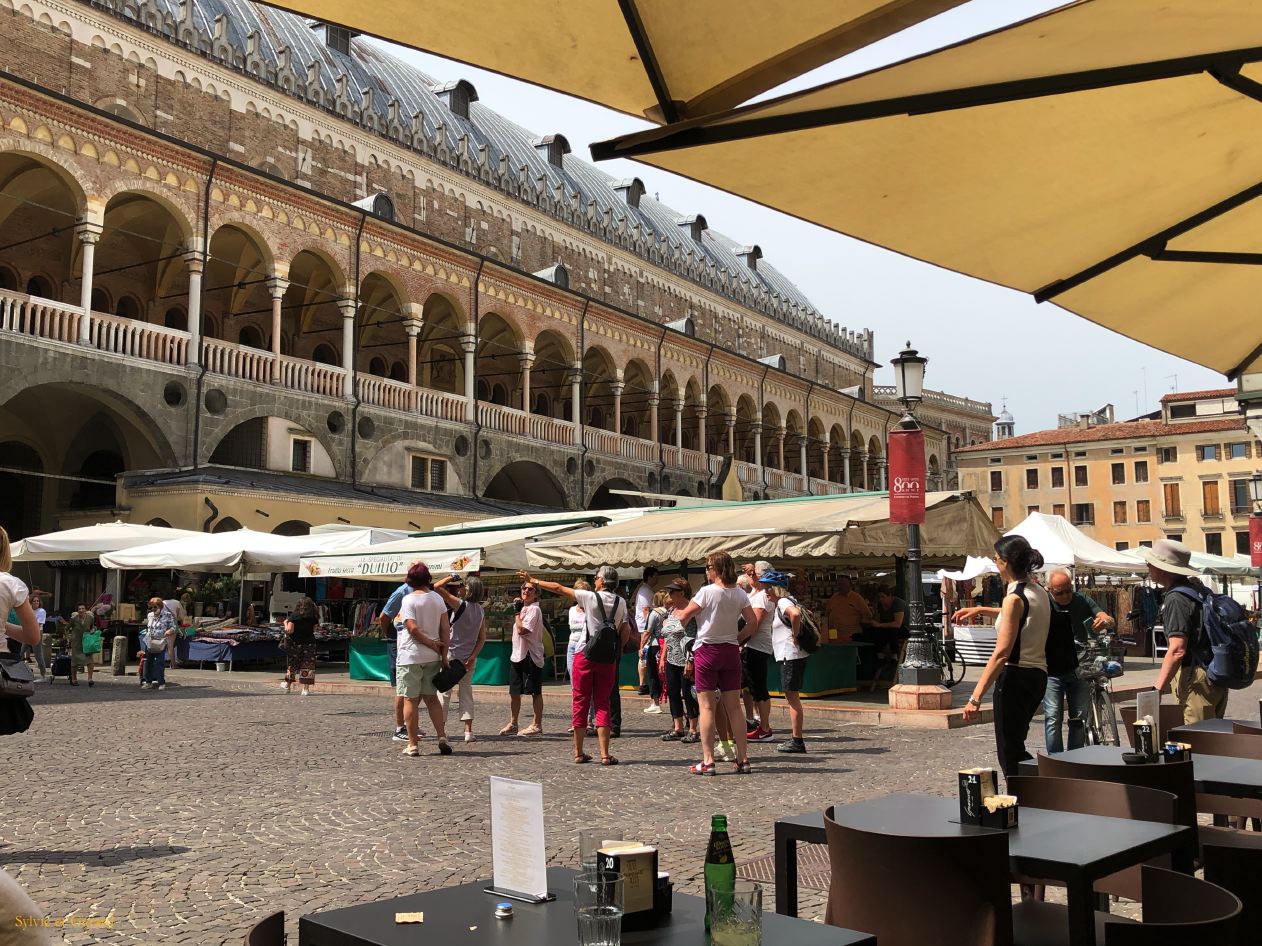 022 Padoue hotel de ville - palazzo della Ragione IMG_1546
