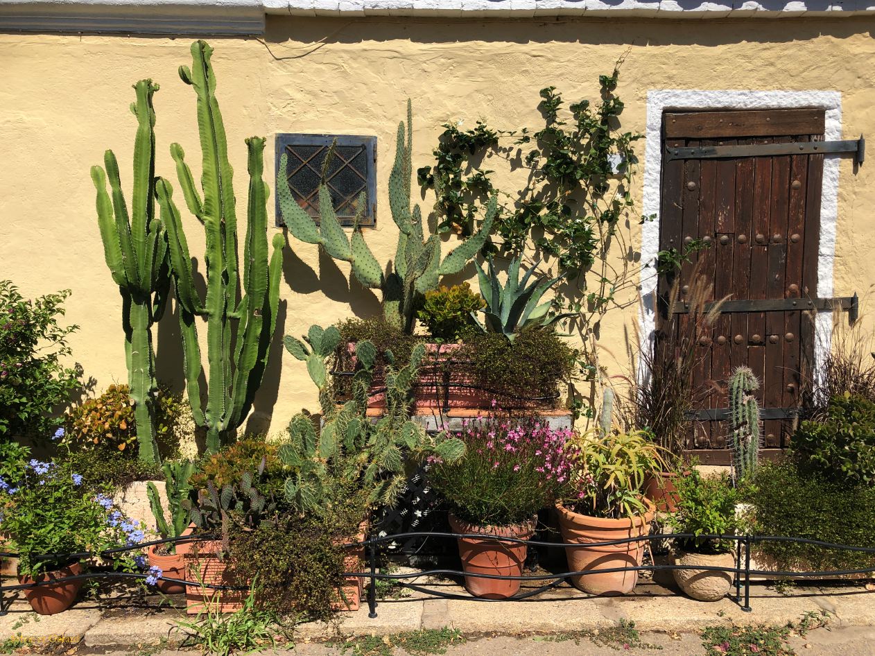 03  San Pantaleo 2 IMG_5424