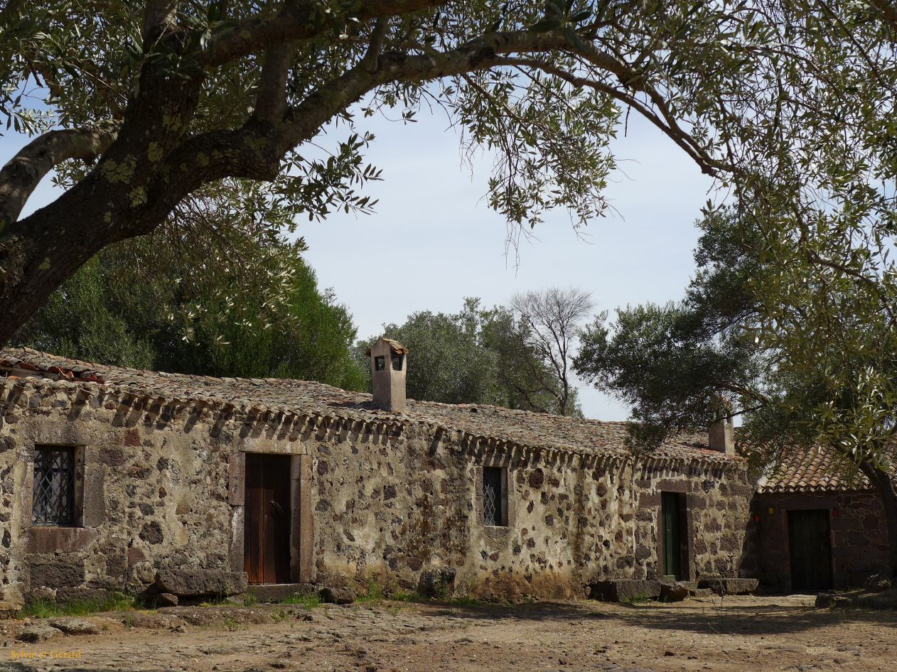 25   Paulilatino sito nuragico di Santa Cristina 4 église Santa Cristina P1270926