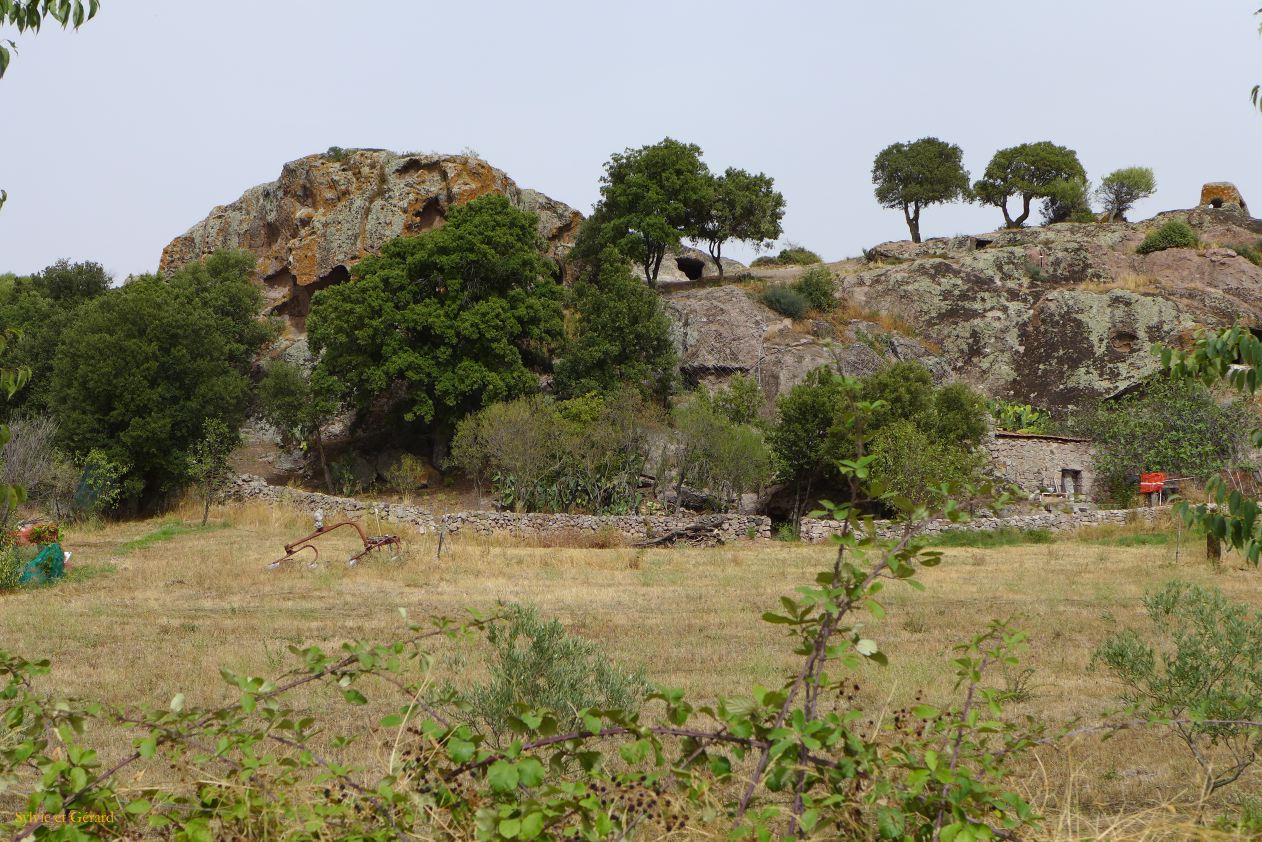 27    Torralba a domus de janas Sant'Andrea les tombes P1280053