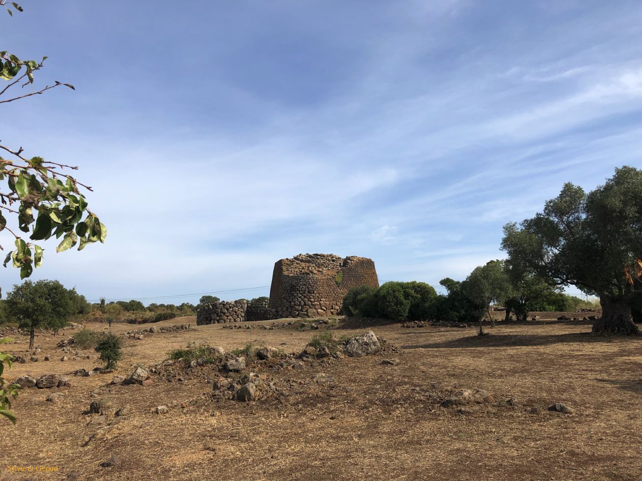 30 Abbasanta nuraghe Losa  1 IMG_9261