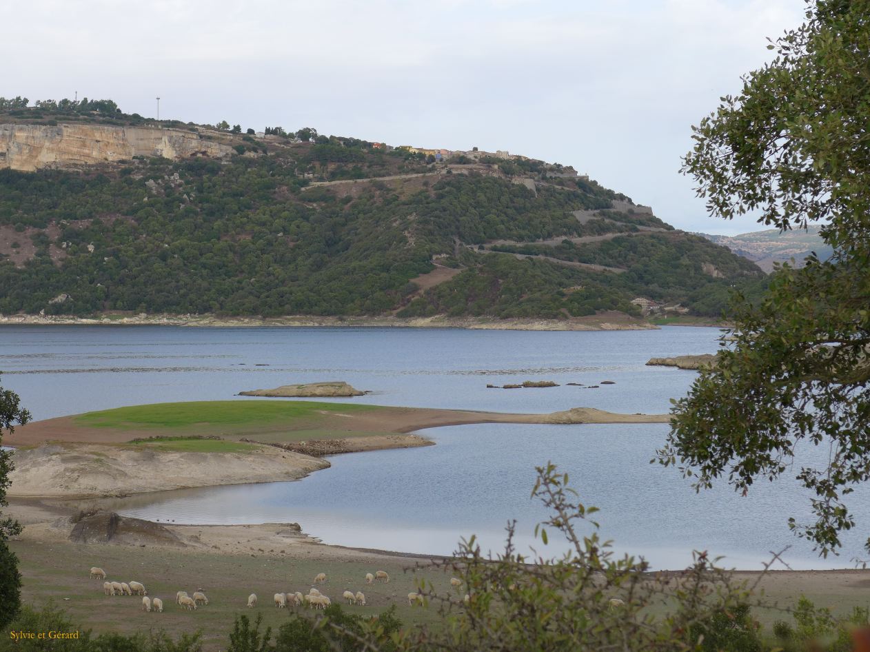 32 Monteleone Rocca Doria 1 P1280302