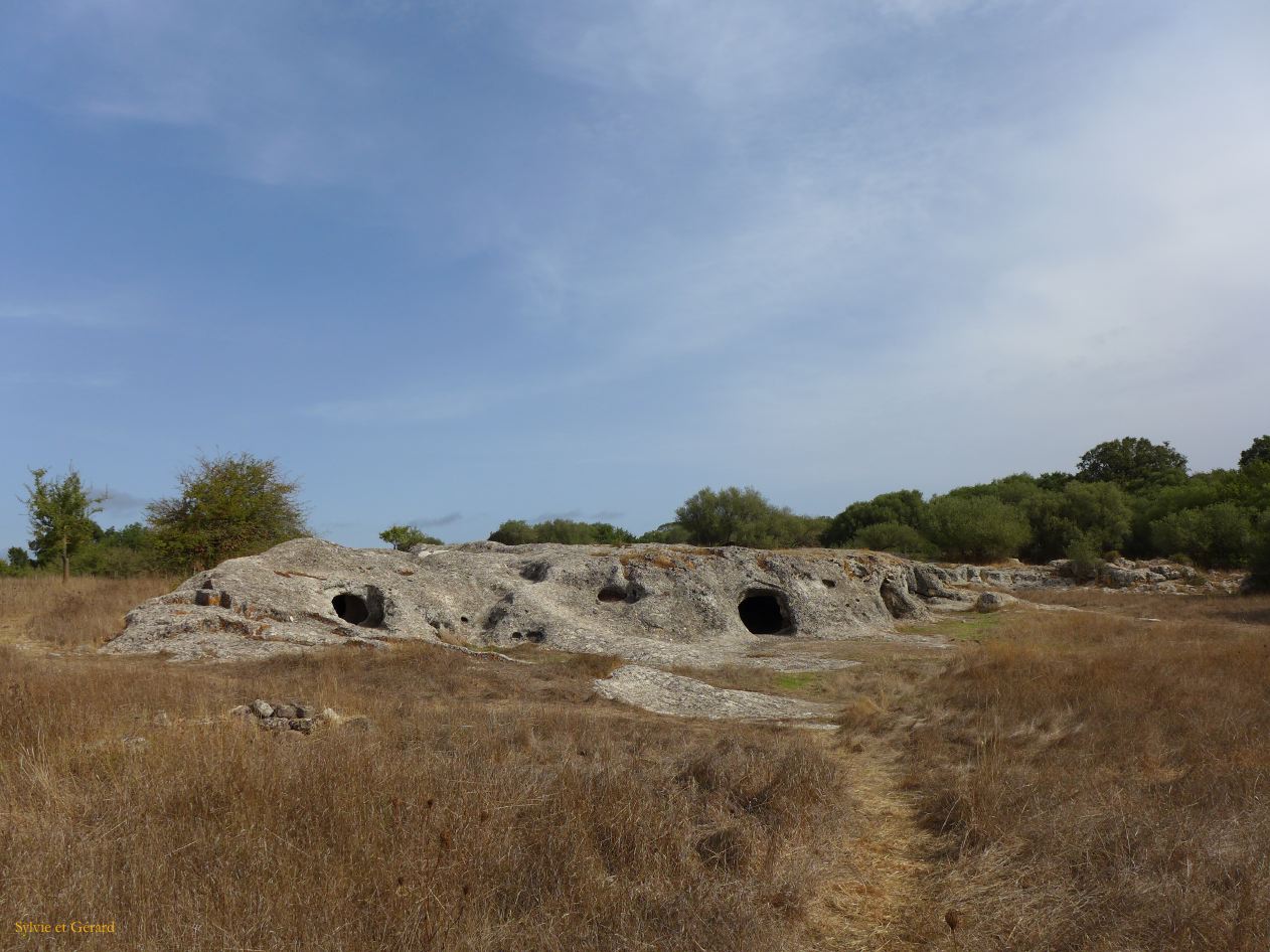 35   Vilanova Monteleone necropole Pottu Codinu P1280205