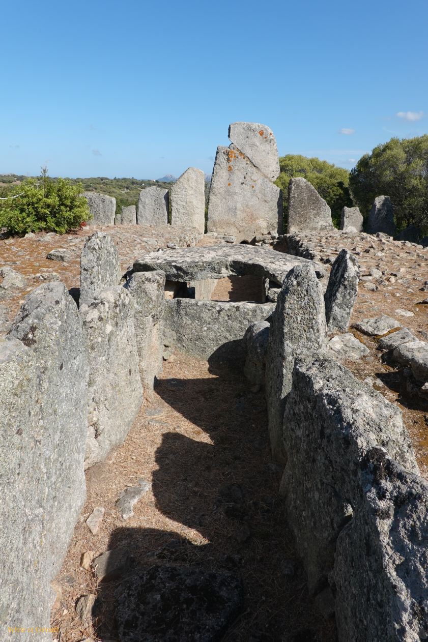 05  Arzachena Gallura tomba dei Giganti di Li Lolghi   2 DSC03280