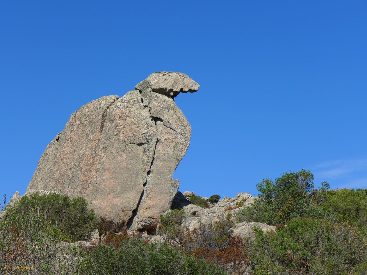 07 Tempio Pausania Monte Pulchania 7 P1260601