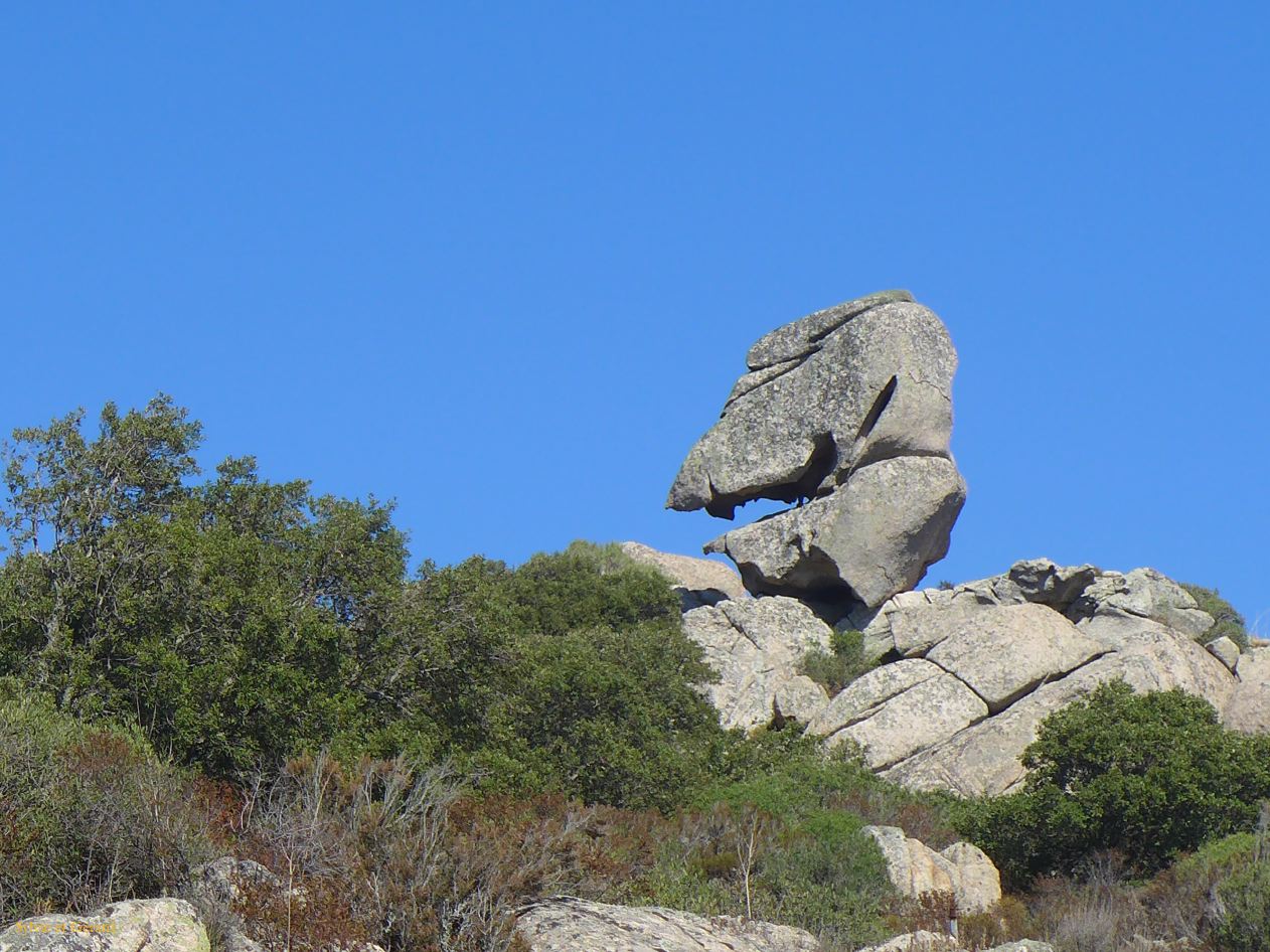 07 Tempio Pausania Monte Pulchania 11 P1260757
