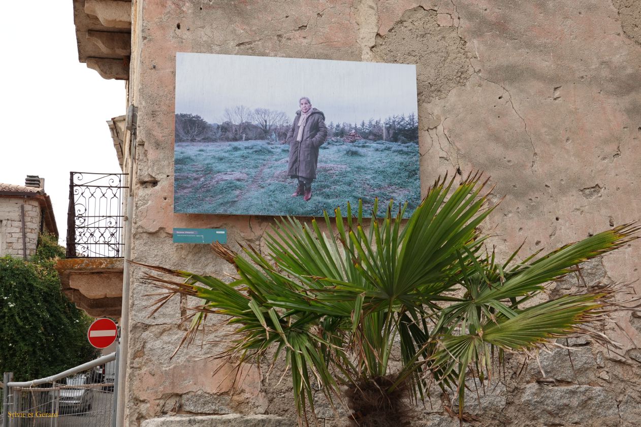 08 Aggius Gallura  4 DSC03394