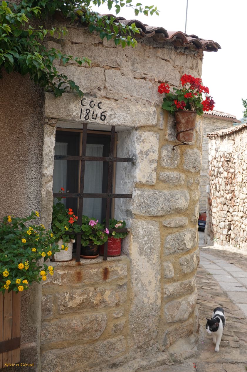 08 Aggius Gallura  15 DSC03369