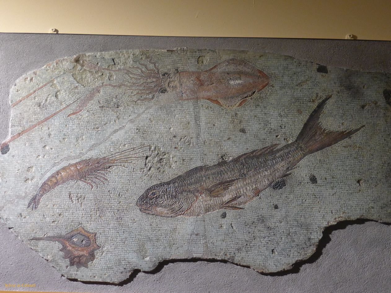 Centrale Montemartini 9 mosaique 