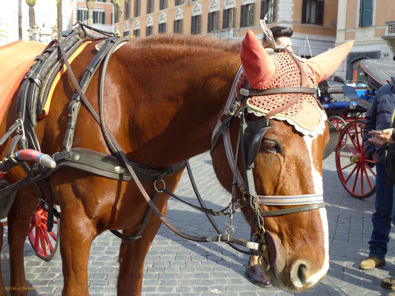 Piazza di Spagna 3  