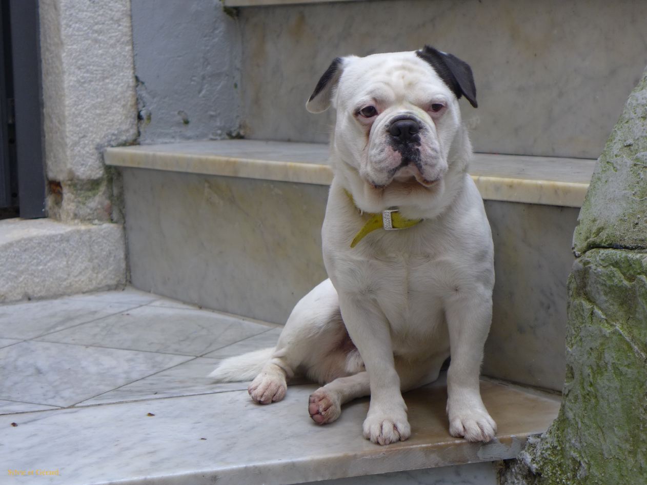 Colonnata 05 moi je ne suis pas en marbre