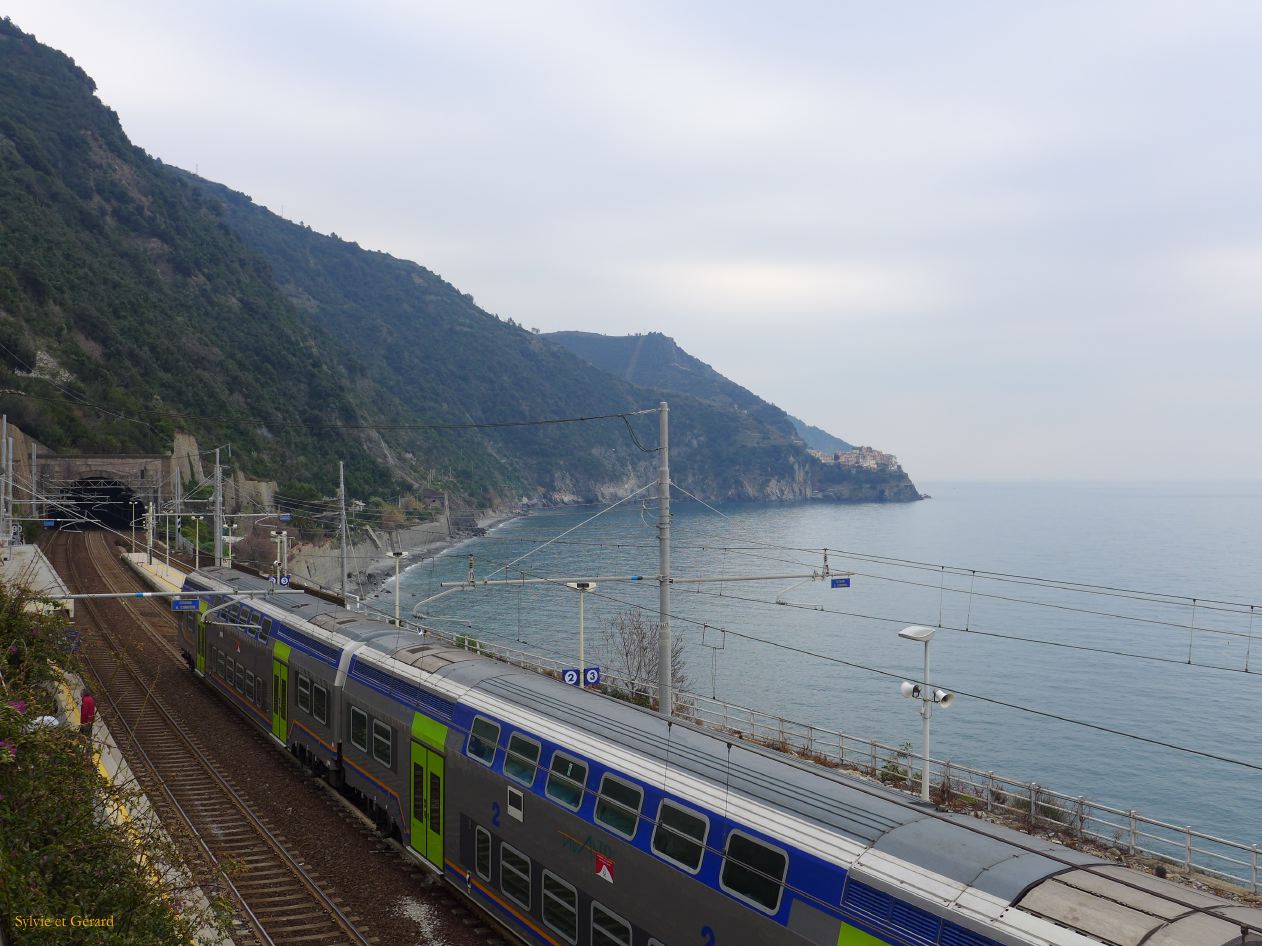 Manarola vu de Corniglia P1220750