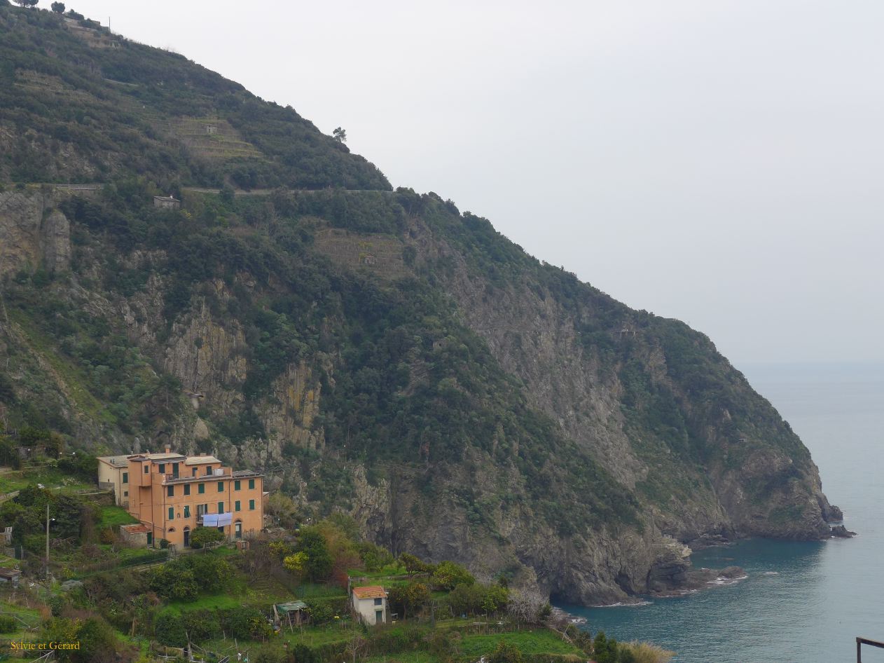 Riomaggiore P1220715