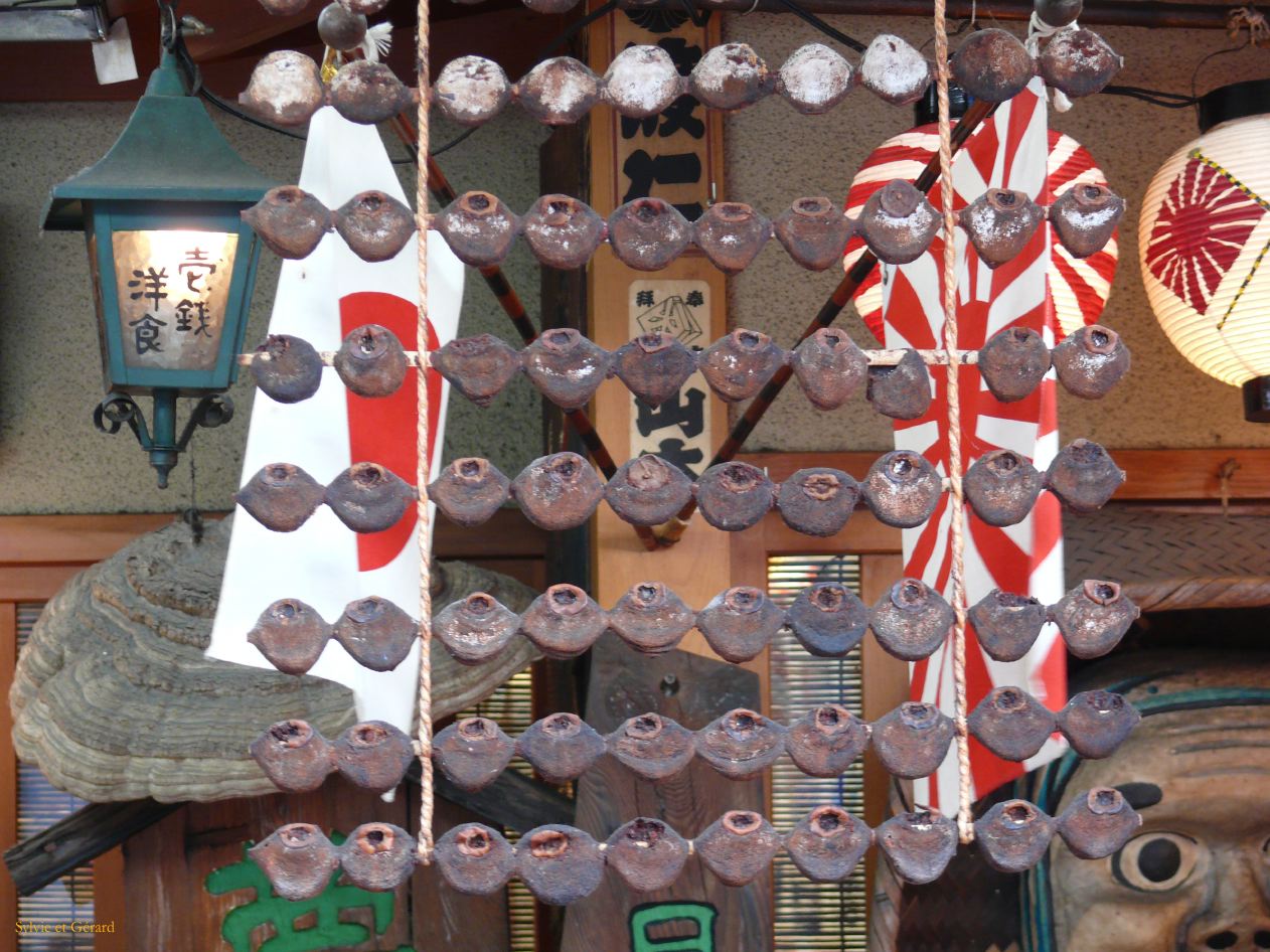 0139 KYOTO Quartier de Gion