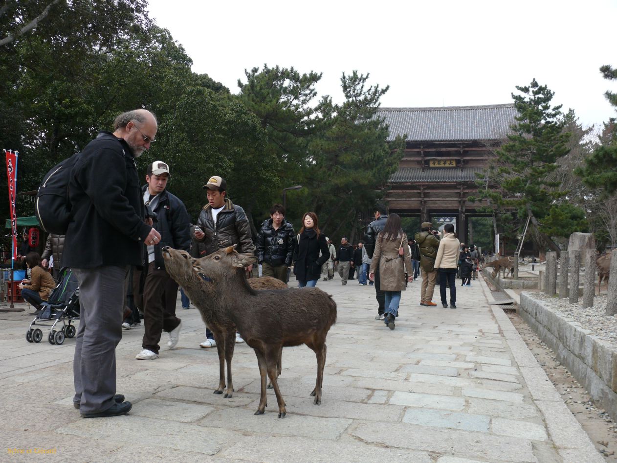 0164 NARA Temple Todaj Ji 