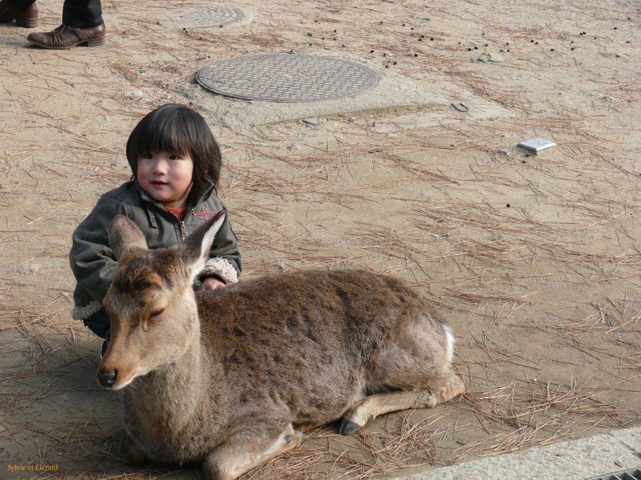 0173 NARA Temple Todaj Ji 