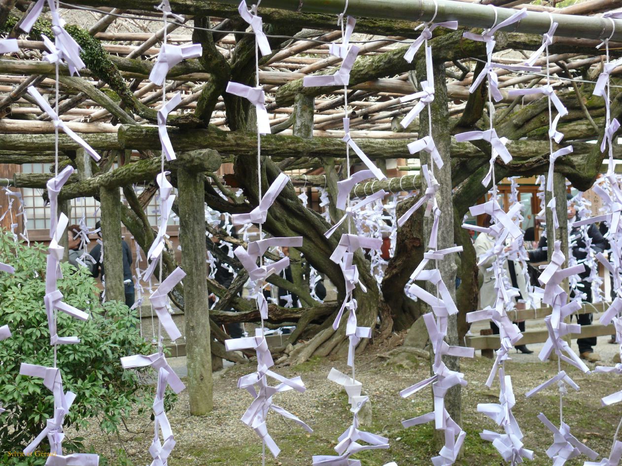 0178 NARA Temple Kasuga Taisha