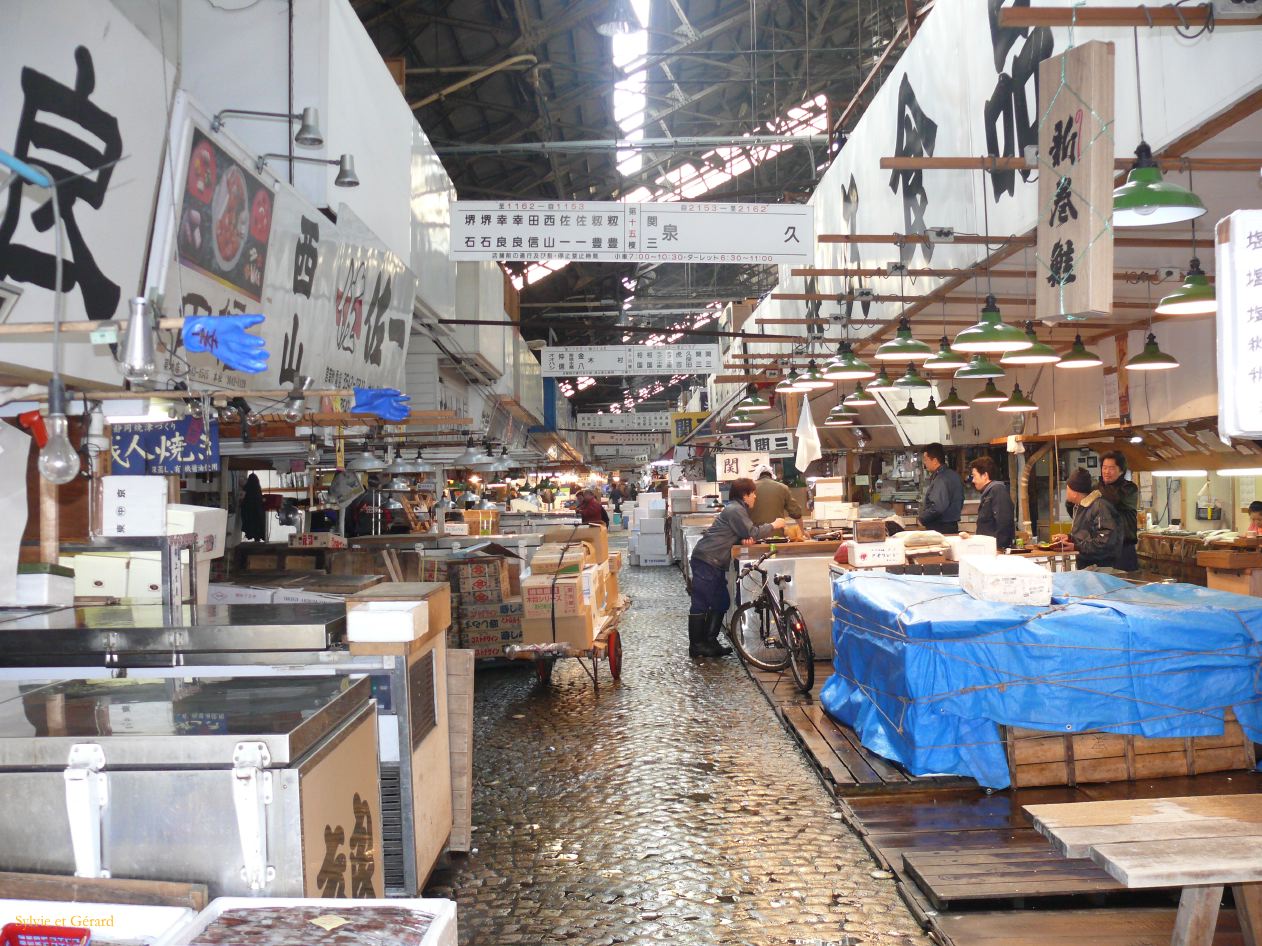 0192 TOKYO Tsukiji Marché aux poissons