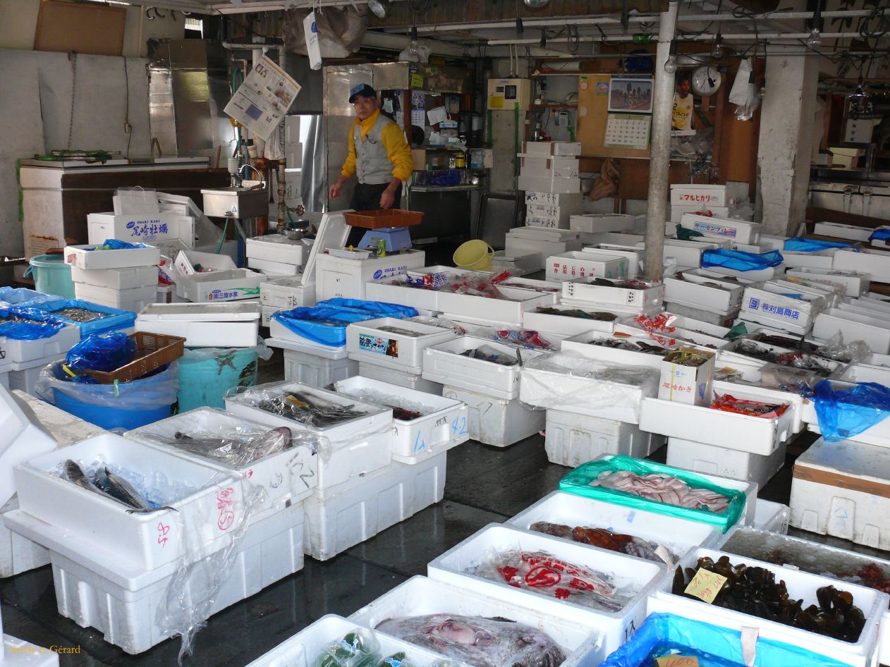 0193 TOKYO Tsukiji Marché aux poissons