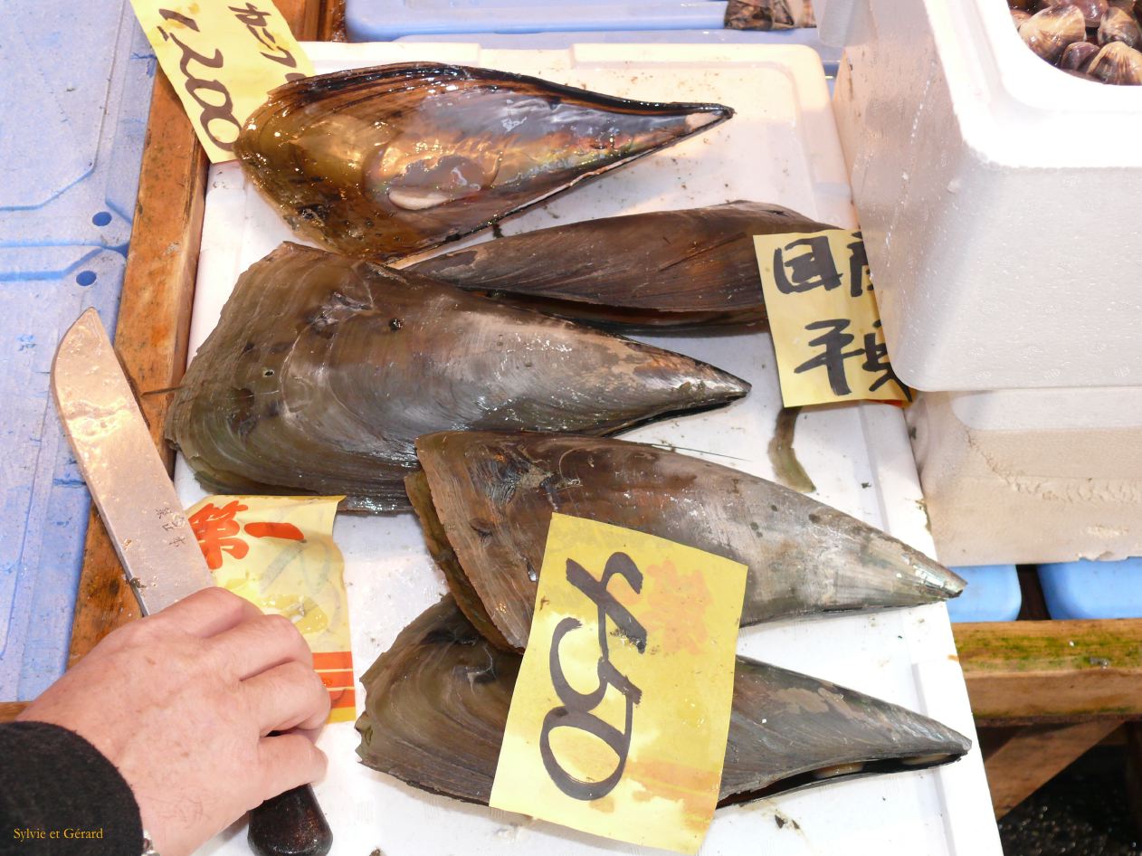 0195 TOKYO Tsukiji Marché aux poissons