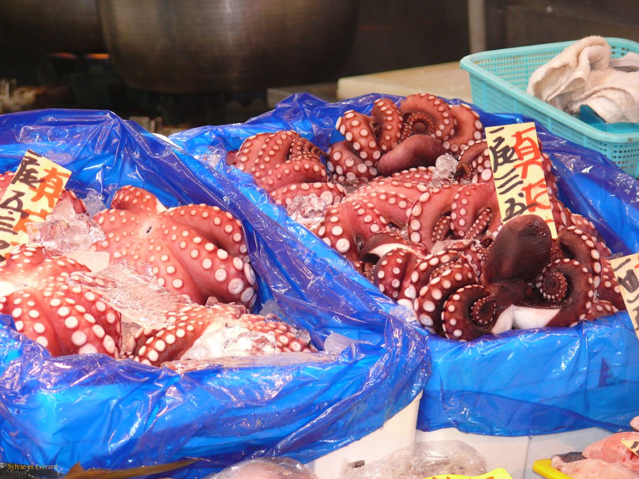 0205 TOKYO Tsukiji Marché aux poissons