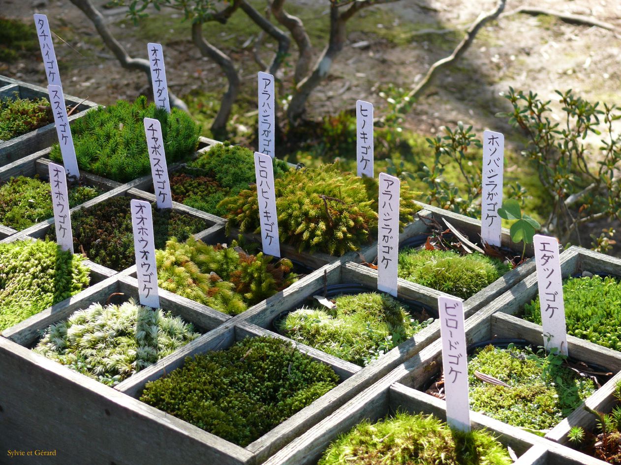 0075 KYOYO Temple d'Argent Ginkaku J