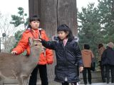 0166 NARA Temple Todaj Ji 