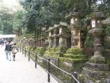 0179 NARA Temple Kasuga Taisha